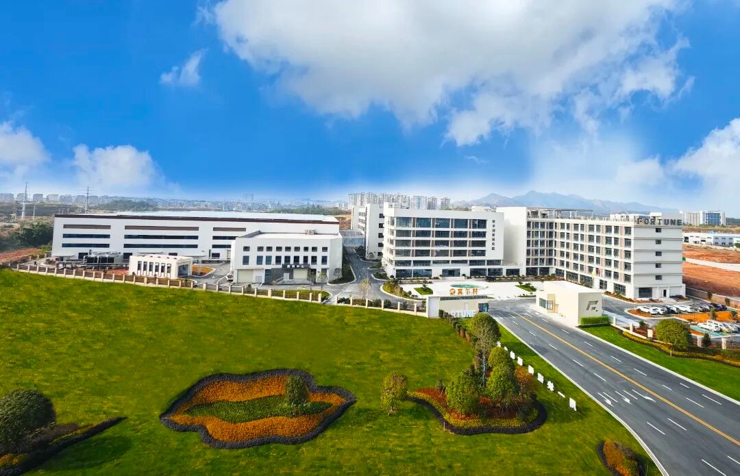 专一业，精一技，成一品 | “小巨人”的攀登路